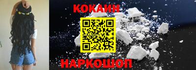 СК Новодвинск