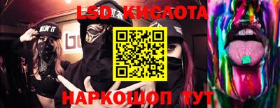 СК Новодвинск