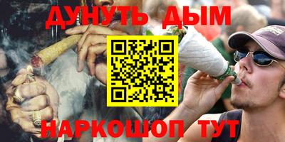СК Новодвинск