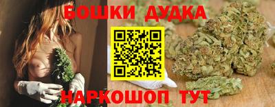 СК Новодвинск