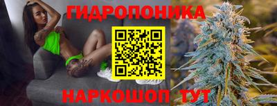 СК Новодвинск