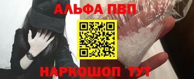 СК Новодвинск