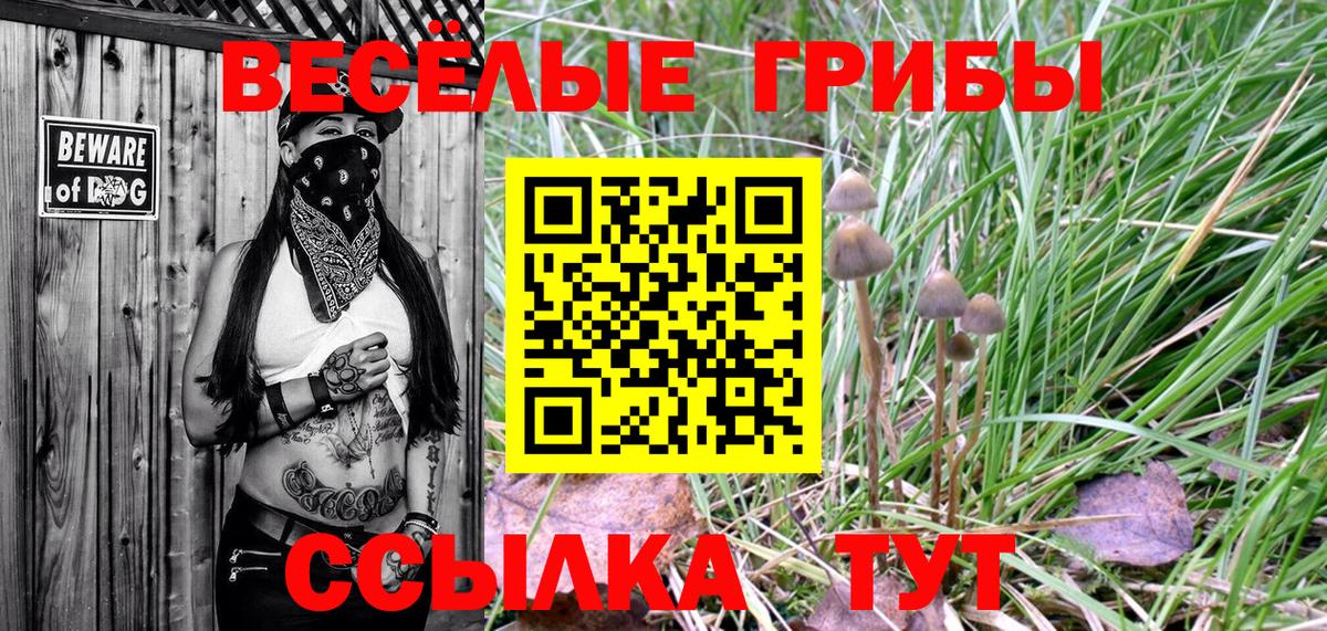 Трёхгорный  Галлюциногенные грибы мухоморы  Вход с VPN 